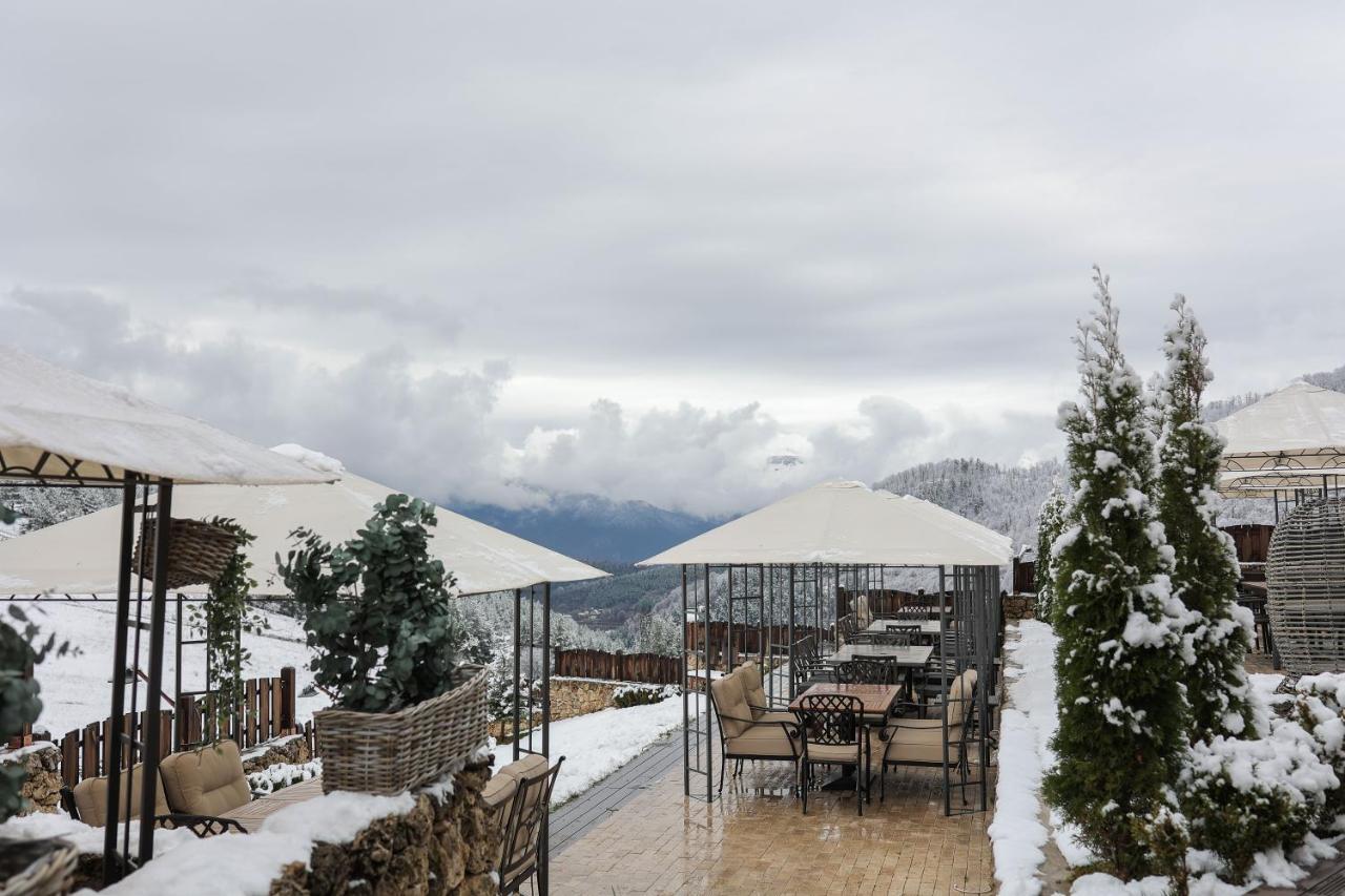 Alpine Castle Hotel ディリジャン エクステリア 写真